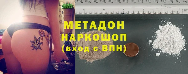 прущие грибы Горнозаводск