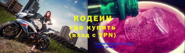прущие грибы Горнозаводск