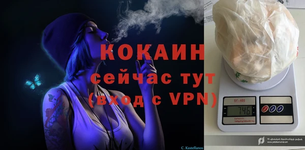 дурь Горняк