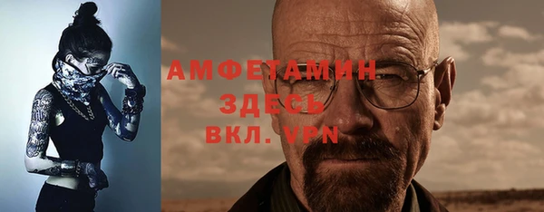 прущие грибы Горнозаводск