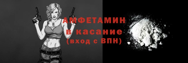 прущие грибы Горнозаводск
