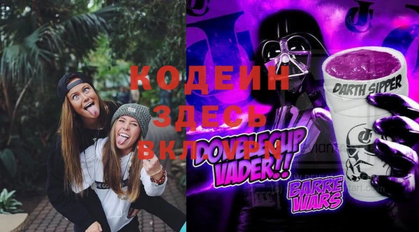 прущие грибы Горнозаводск