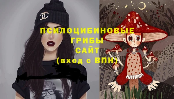 дурь Горняк