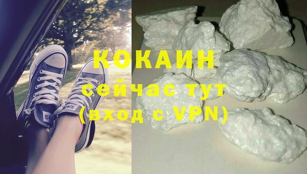 гашик Горно-Алтайск
