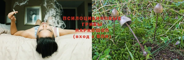 дурь Горняк