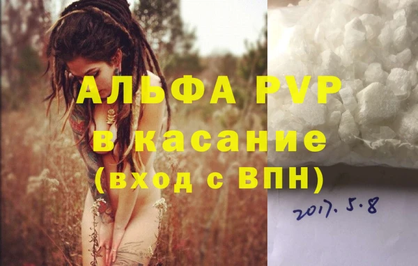 гашик Горно-Алтайск