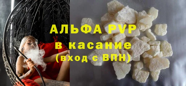 прущие грибы Горнозаводск