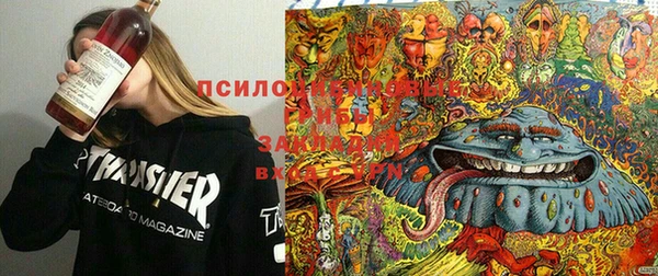 дурь Горняк