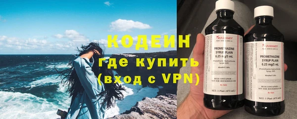 прущие грибы Горнозаводск