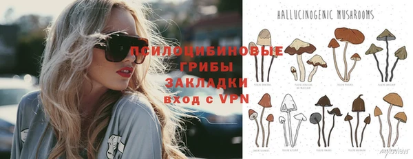 прущие грибы Горнозаводск