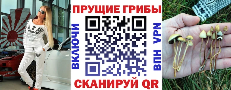 Псилоцибиновые грибы Psilocybe  Данилов 